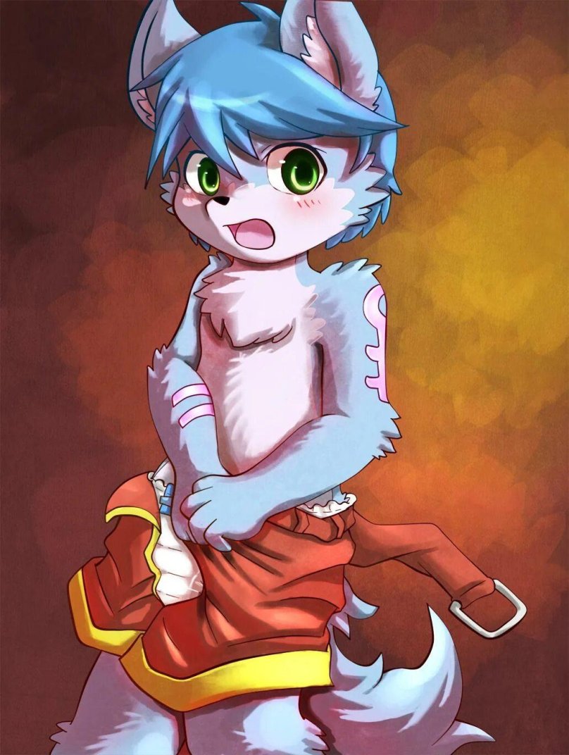 Фури Шота Cub