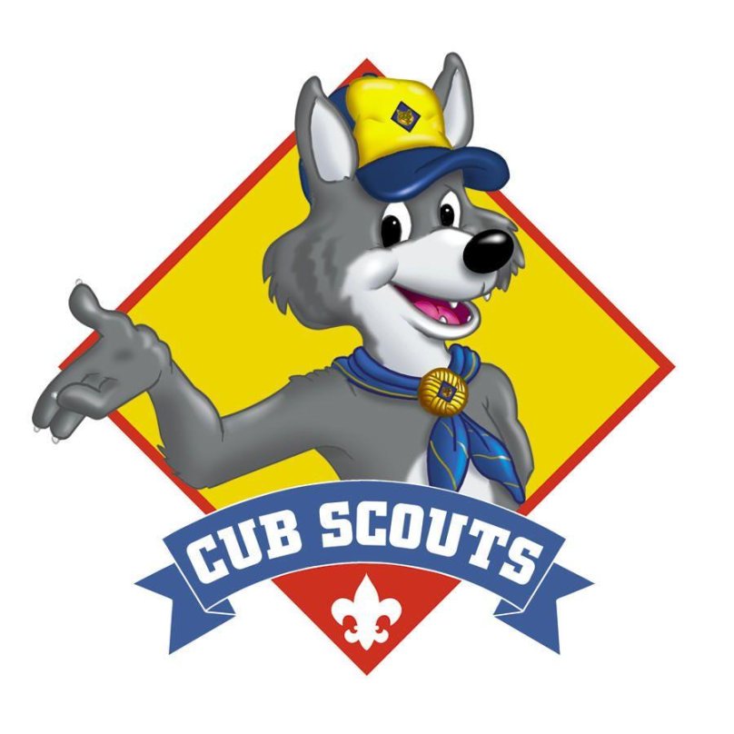 Cub Scouts
