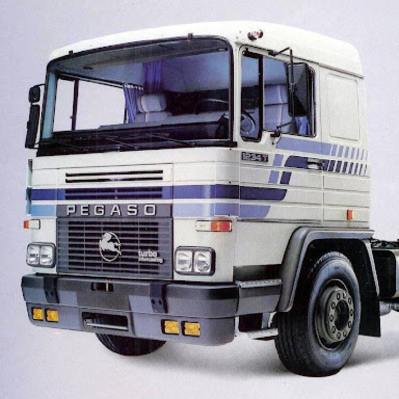 Pegaso 1234t