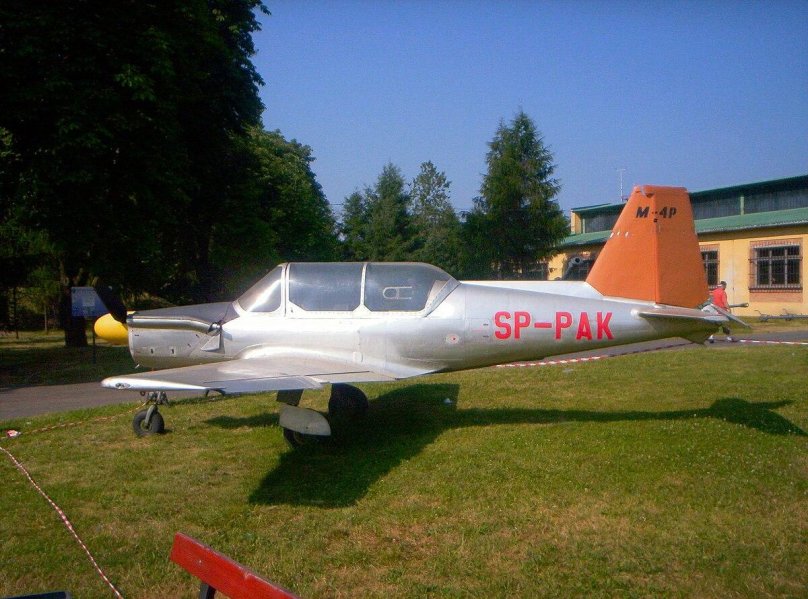 Тарпаны в музее