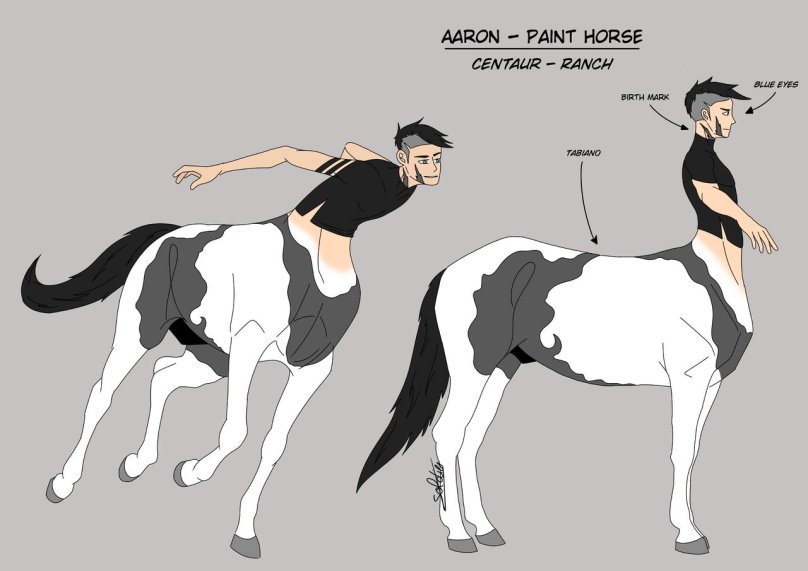 Кентавр в разрезе