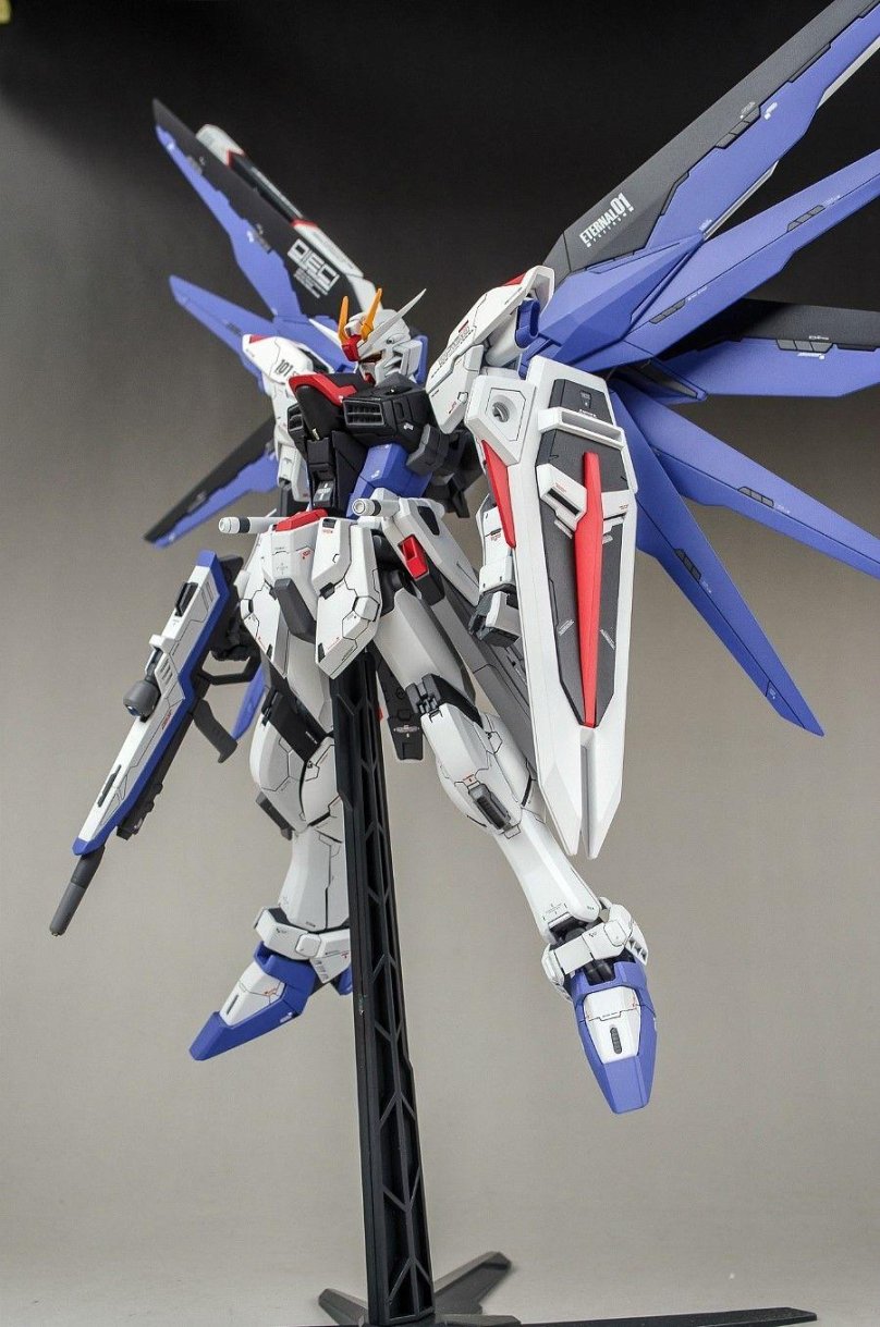 ГАНДАМ Фридом