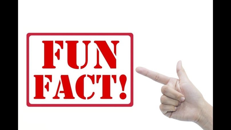 Fun facts