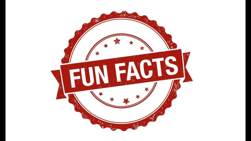 Fun facts