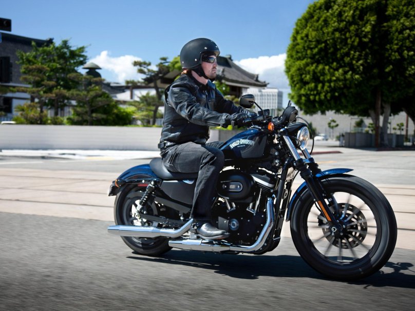 Harley Davidson Sportster 883 Iron