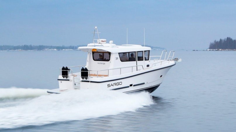 Sargo 31