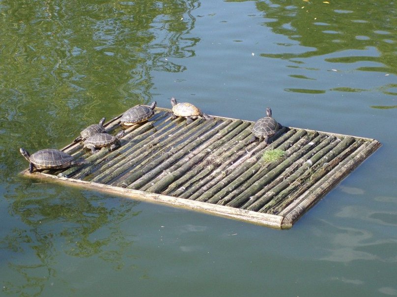 Плот из бревен