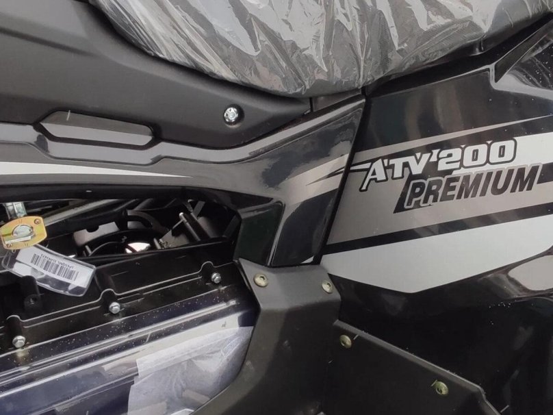 Шноркель на якота Кабо 200