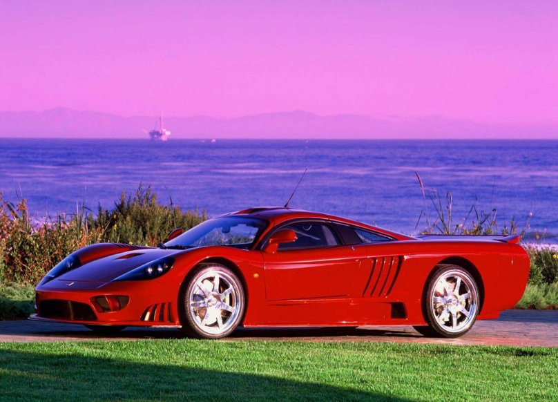 Макларен Салин