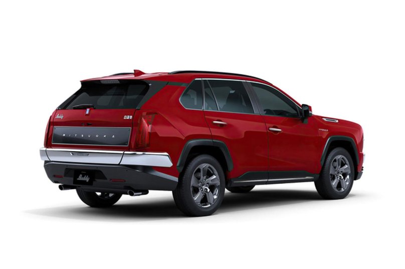 Toyota rav4 Mitsuoka buddy