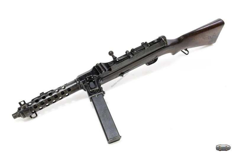 Штейер-Солотурн s1-100