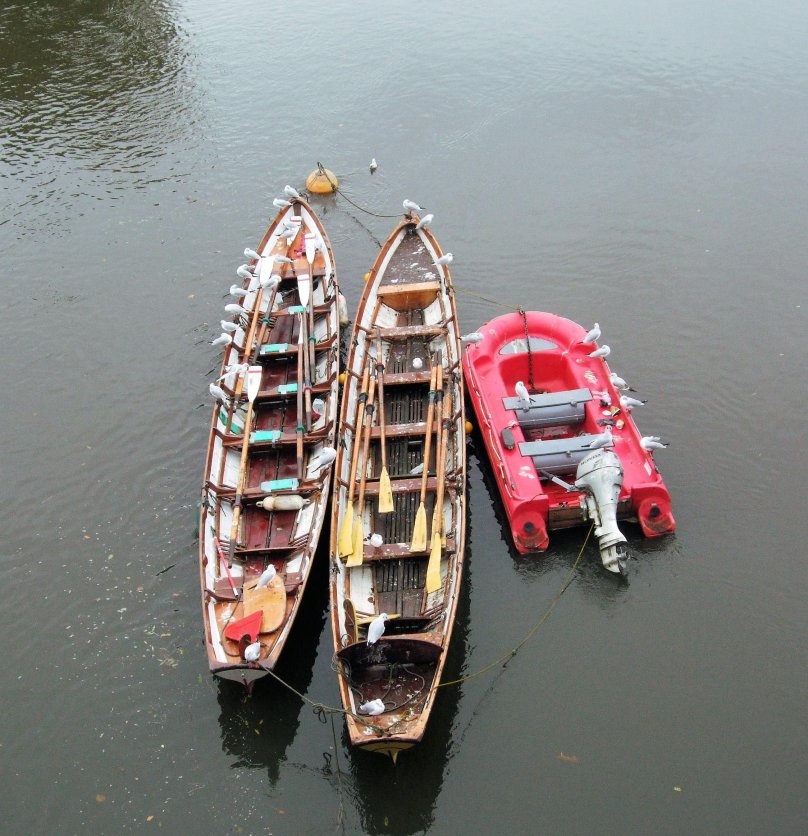 Сураттхани (провинция)