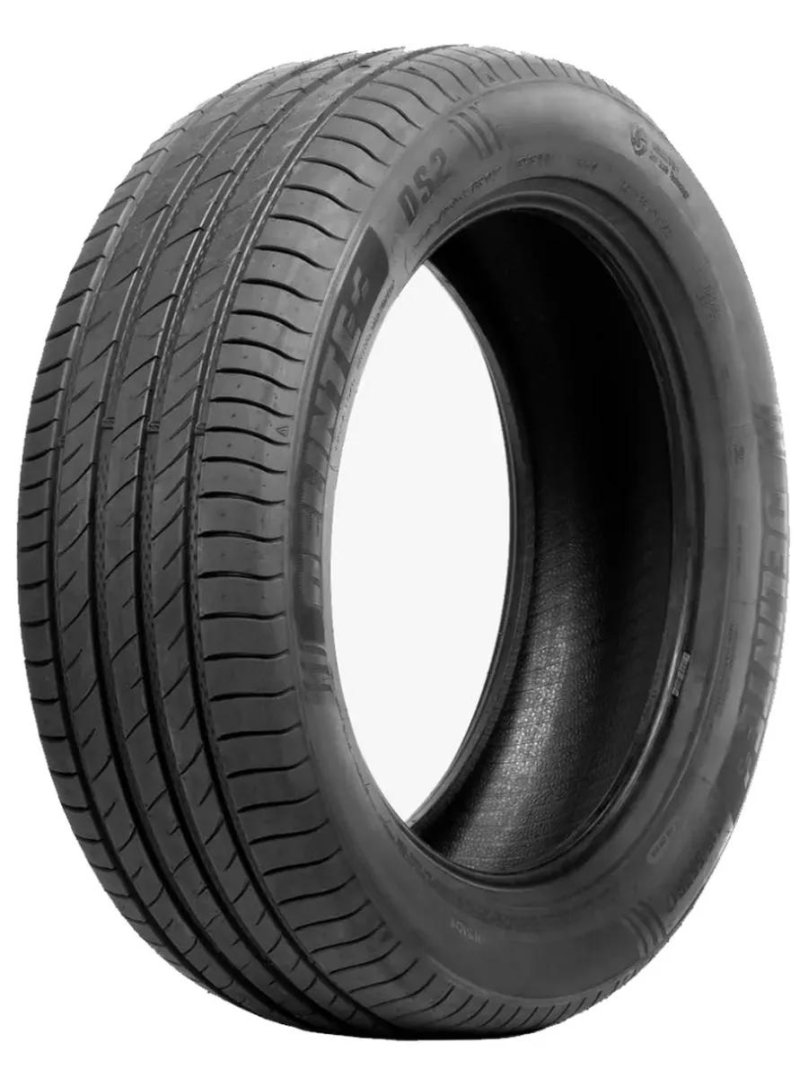 Шина Delinte ds2