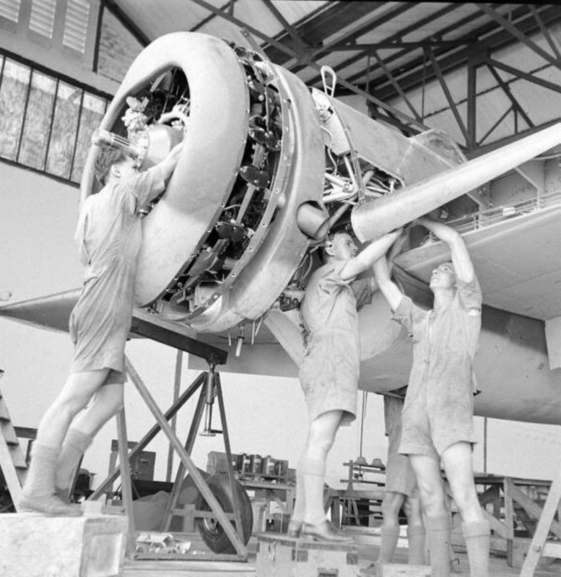 Брюстер Буффало