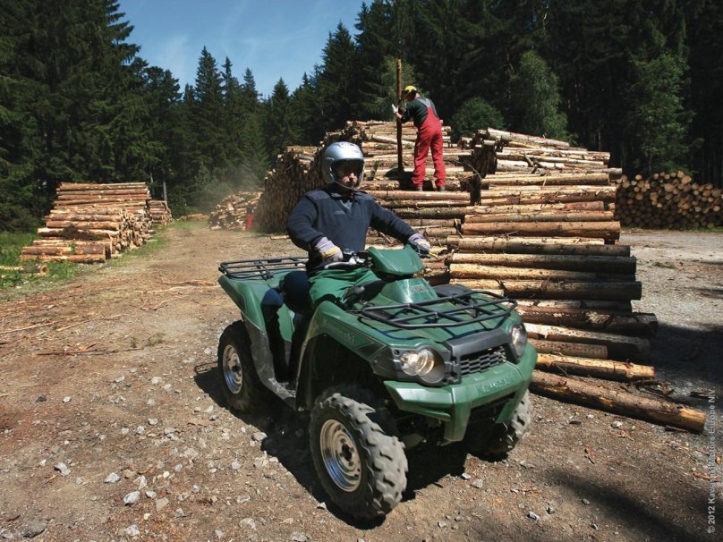 Kawasaki Brute Force 750