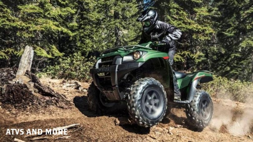 Kawasaki Brute Force 750