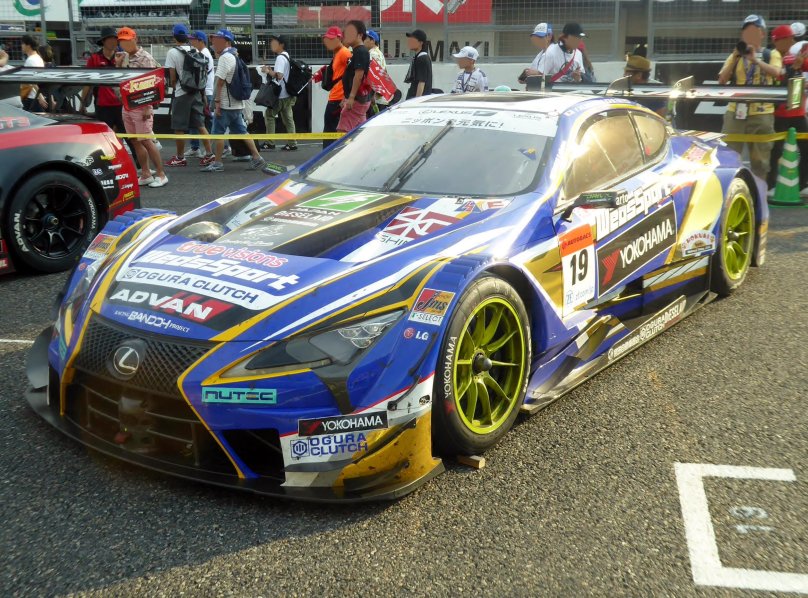 WEDSSPORT модели