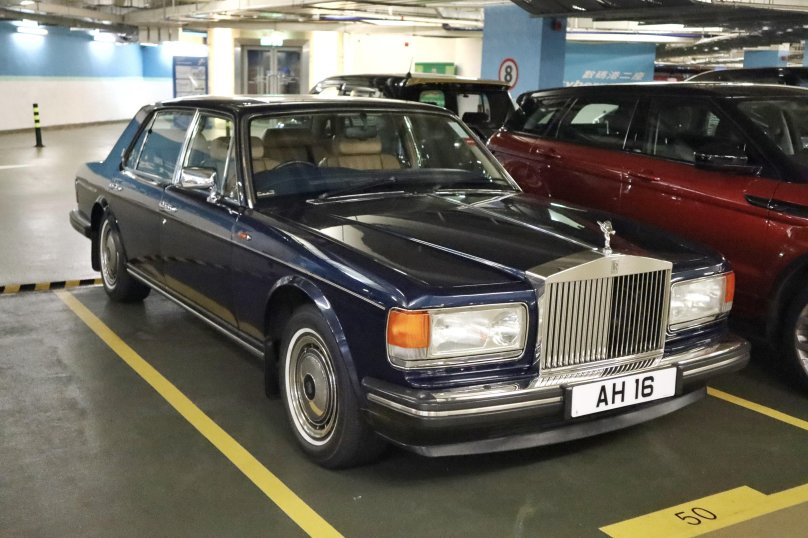 Амплиссимум Сильвер спирит