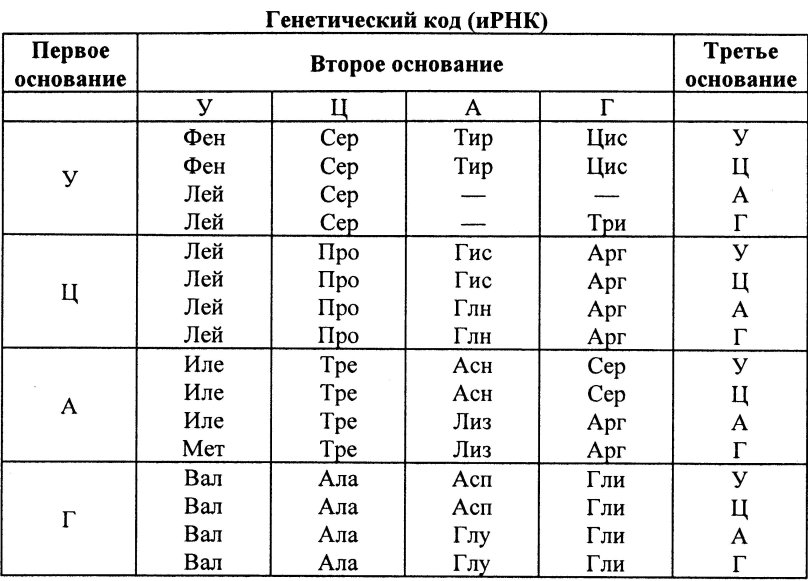 Таблица генетического кода генетический код (ИРНК)