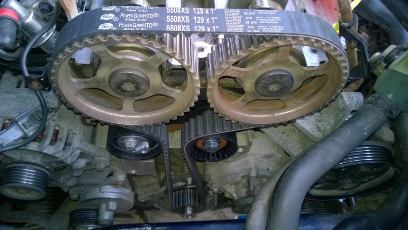 ГРМ Форд фокус 1 1.8 Zetec