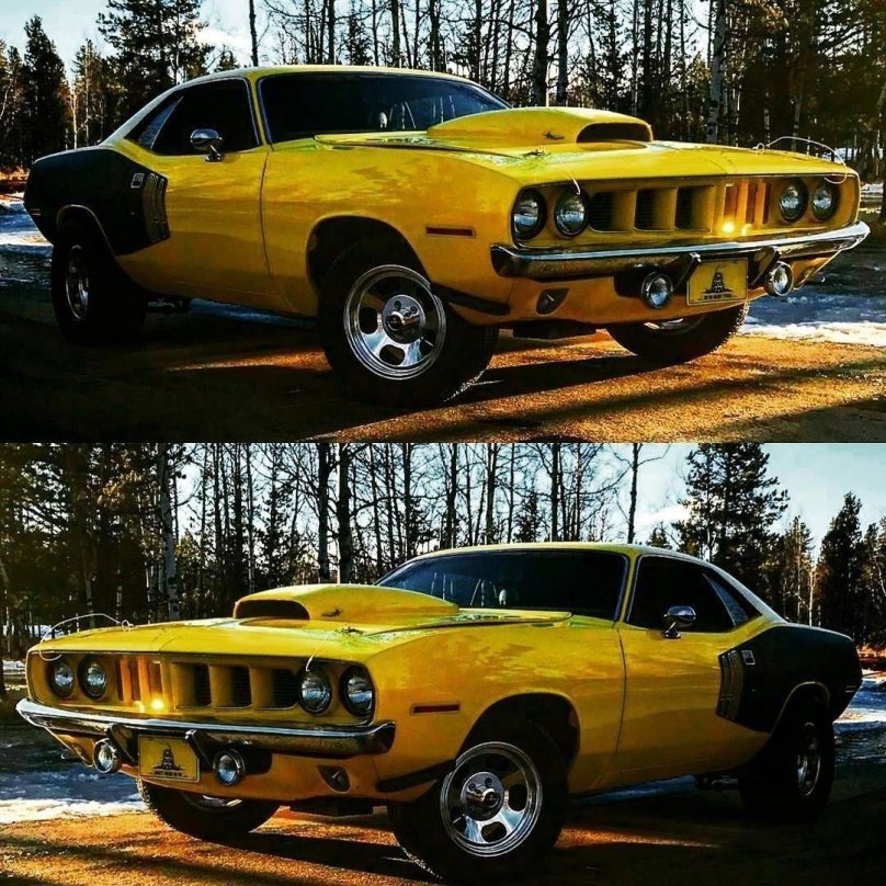 Понтяг москолкар