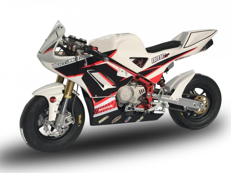 BUCCIMOTO br10gp