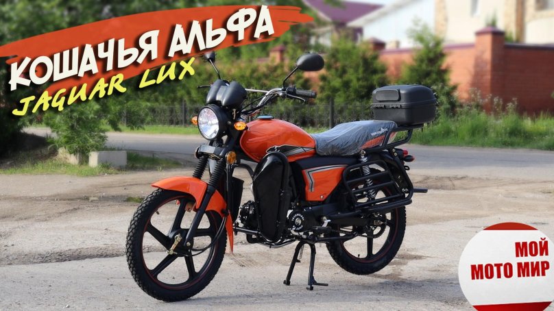 Альфа Ягуар 110 Лесник