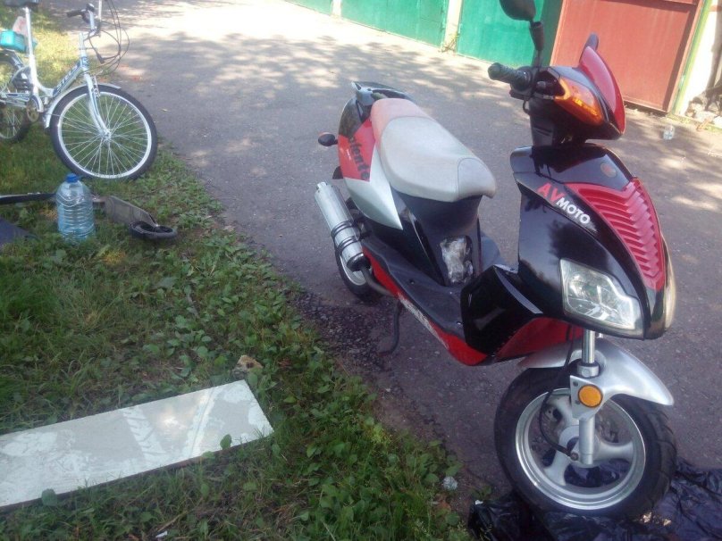 Sagitta модель: insolente