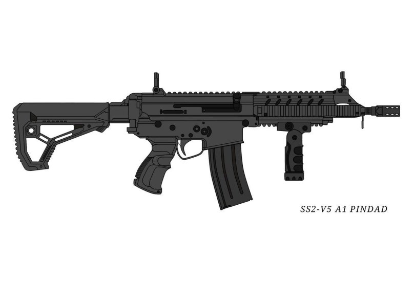 Pindad ss2