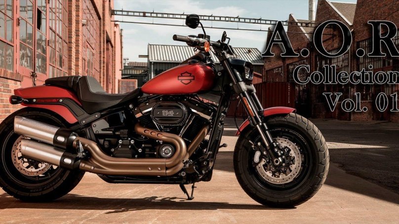 Harley Davidson fat Bob Custom