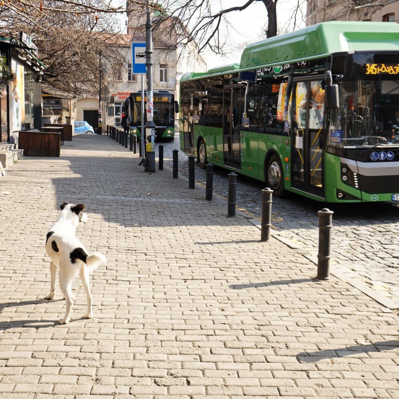 Транспорт Грузии