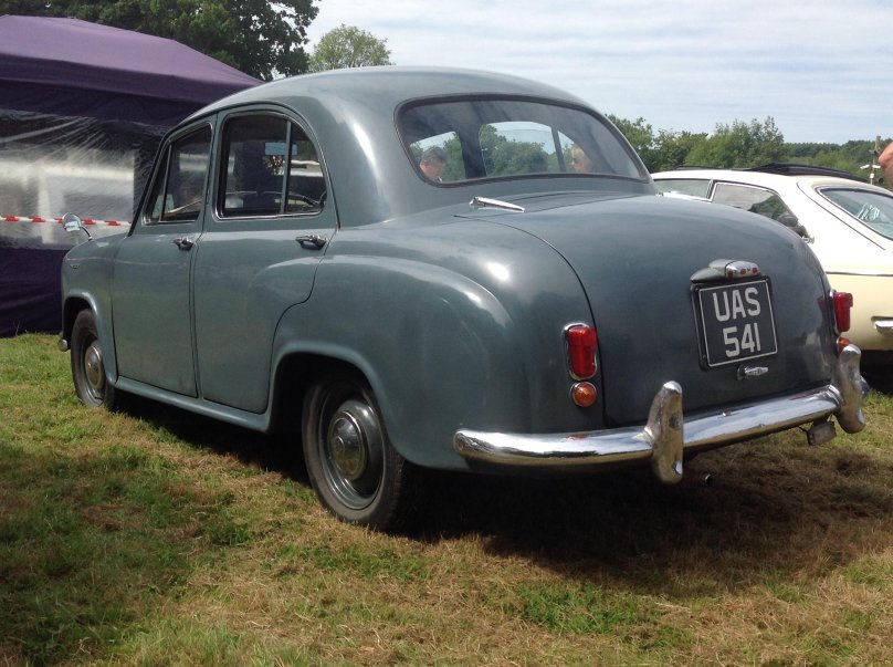 Моррис Каули