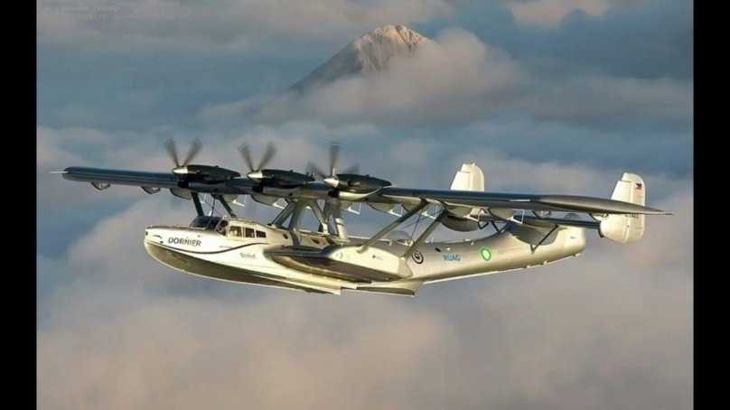 Дорнье 24