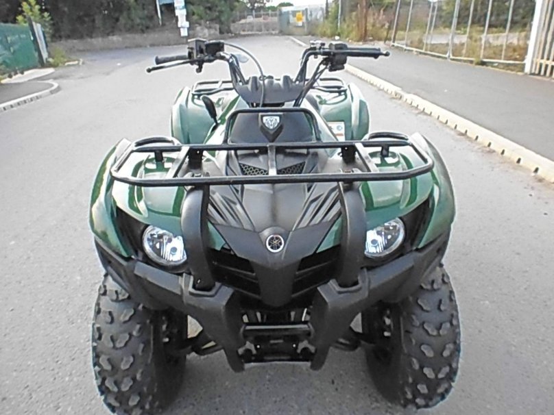 Yamaha Grizzly 300 2012