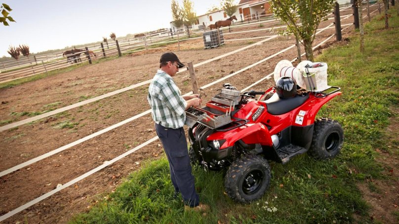 Квадроцикл Гризли 300сс