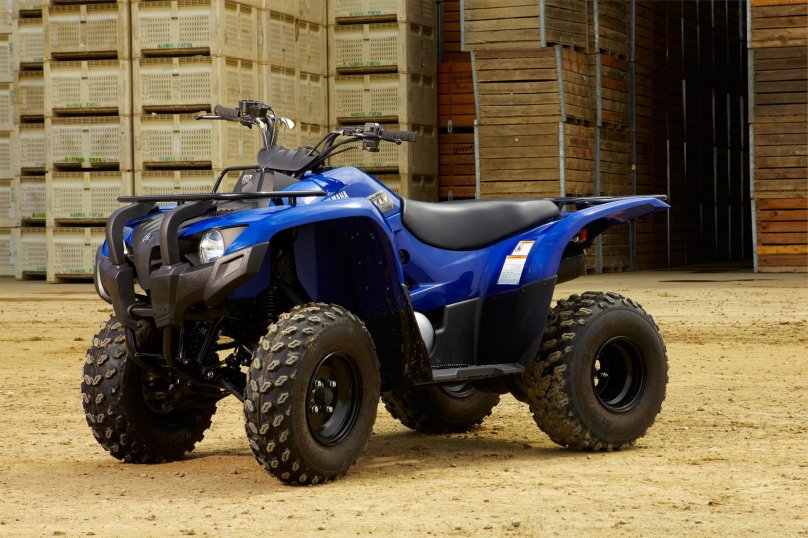 Квадроцикл Гризли 300