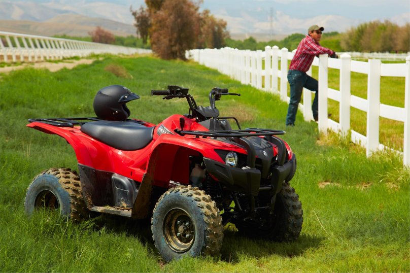 Квадроцикл Гризли 300сс