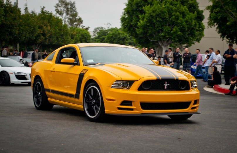 Форд Мустанг босс 302 2013