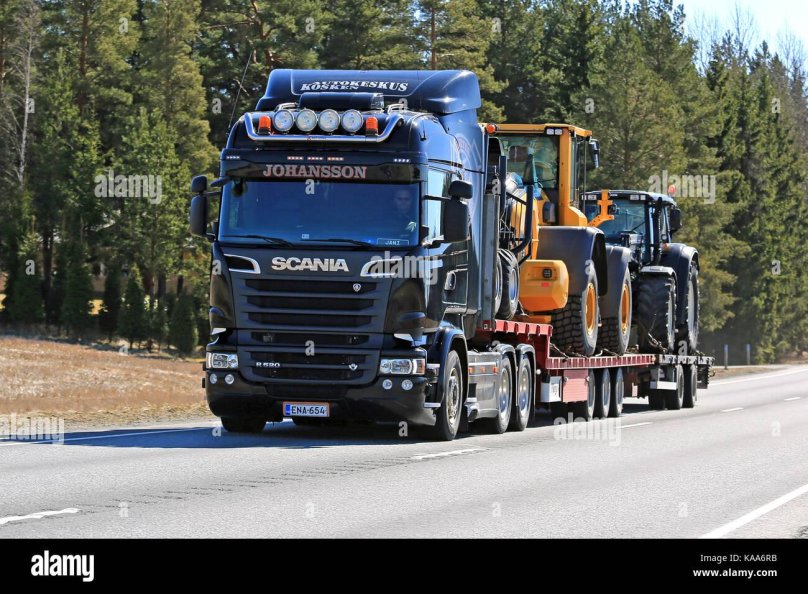 Сосна Скания темная