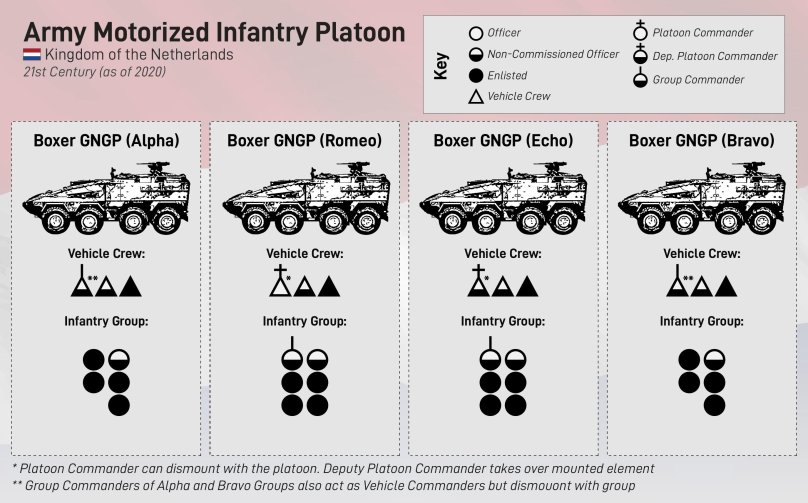 Mechanized Infantry Platoon