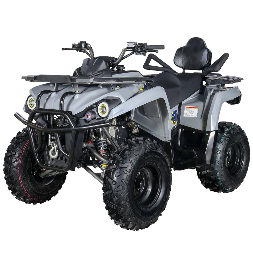 Квадроцикл Бизон 200