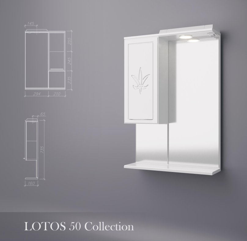 Зеркало-шкаф Maximus, 55х16х75 см