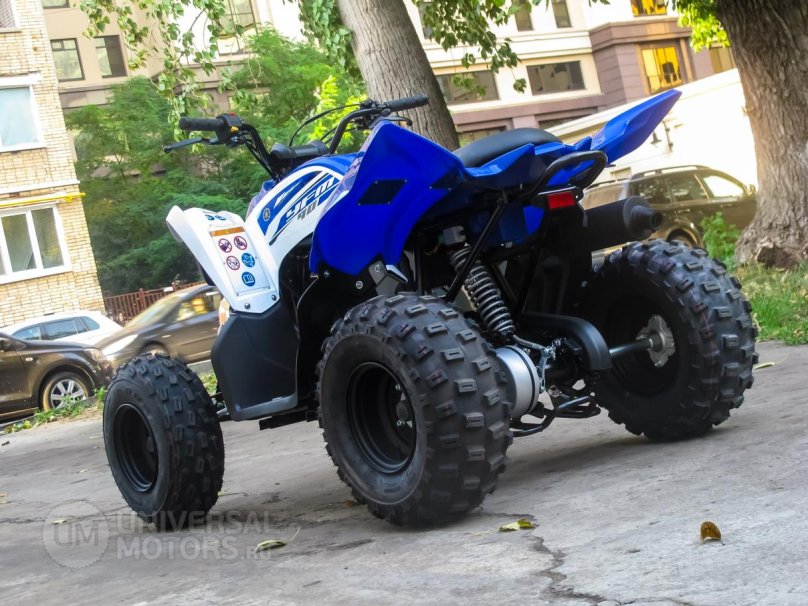 Ямаха Раптор 90