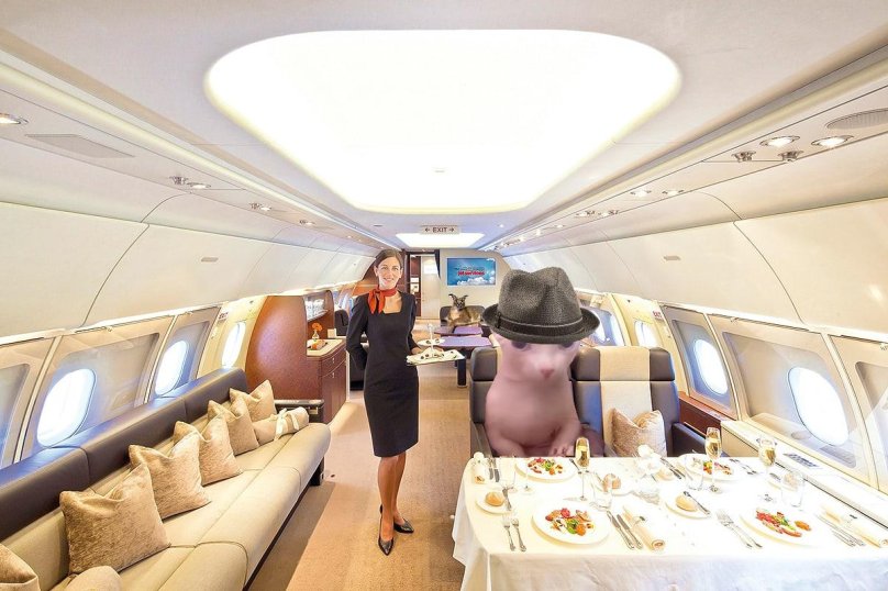 Аэробус а380 бизнес Джет