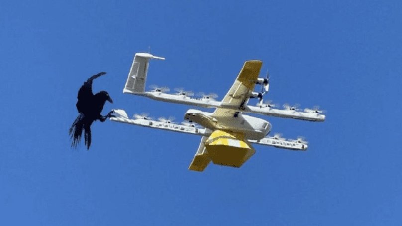 Дроны птицы