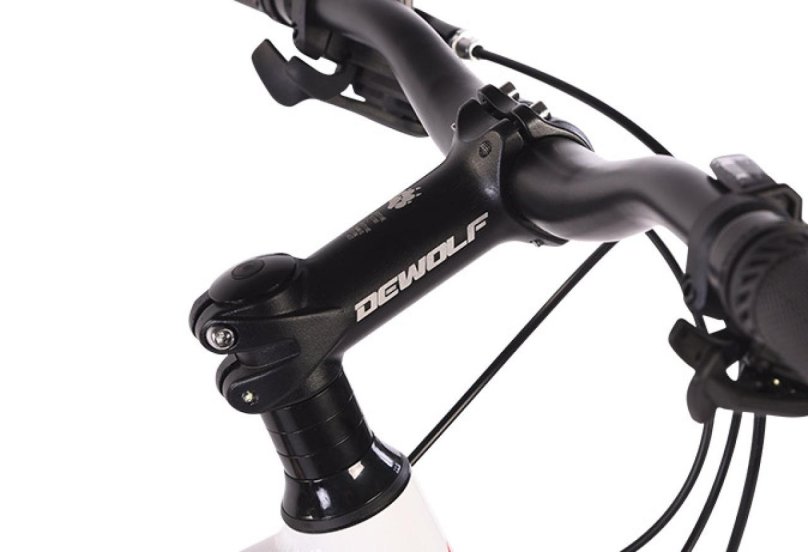 Dewolf Ridly 20 (2021)