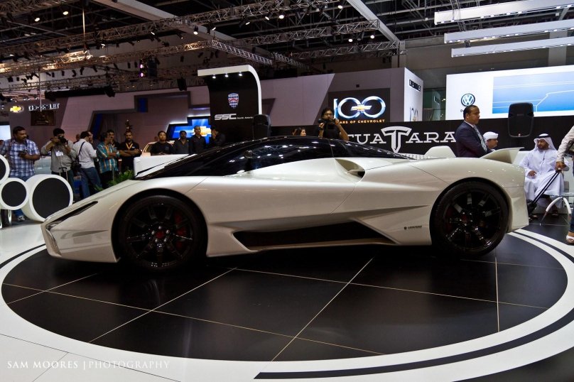 ССС туатара