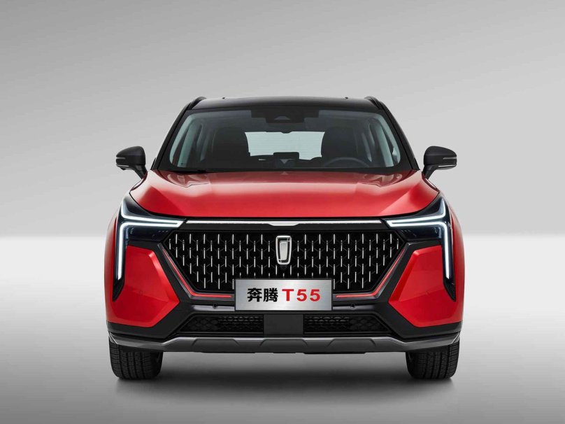 ФАВ Бестурн т55