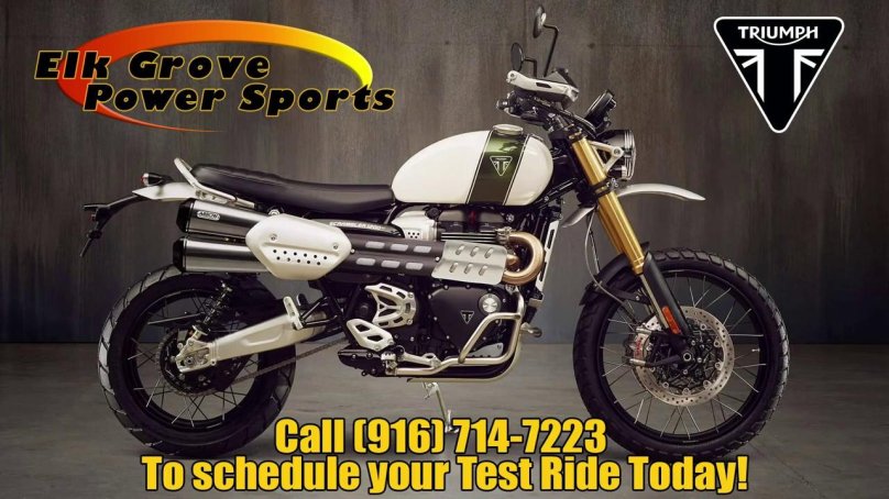 Триумф скремблер 1200