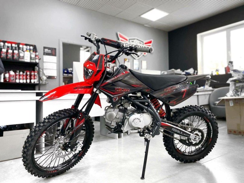 Эндуро BSE z10